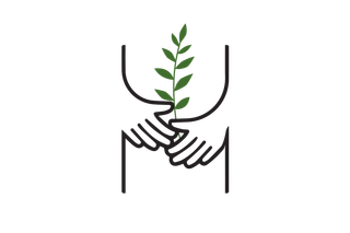 Thumbnail for Visual Identity of Timareh - 1